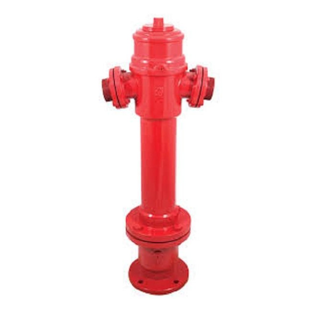 αρχείο λήψης (5)